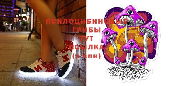 mdpv Вяземский
