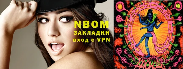 mdpv Вяземский