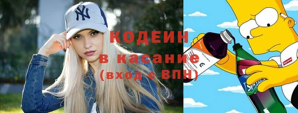 mdpv Вяземский