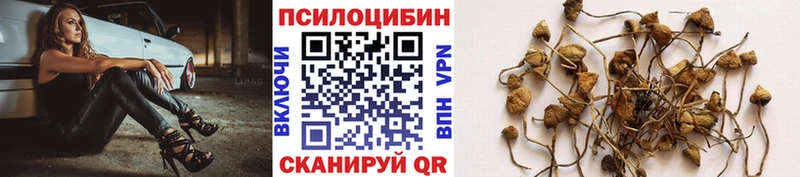 Галлюциногенные грибы Magic Shrooms  Купить где  Сатка 